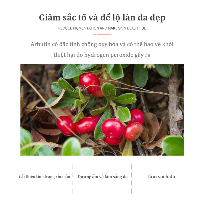 DELEVENTH Arbutin Sữa rửa mặt Dưỡng ẩm da Làm trắng da